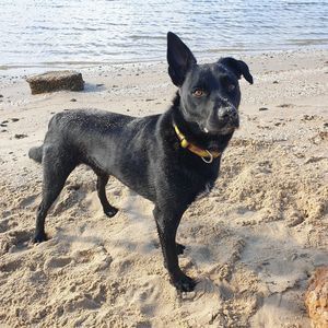 Meet your Posher, Lee